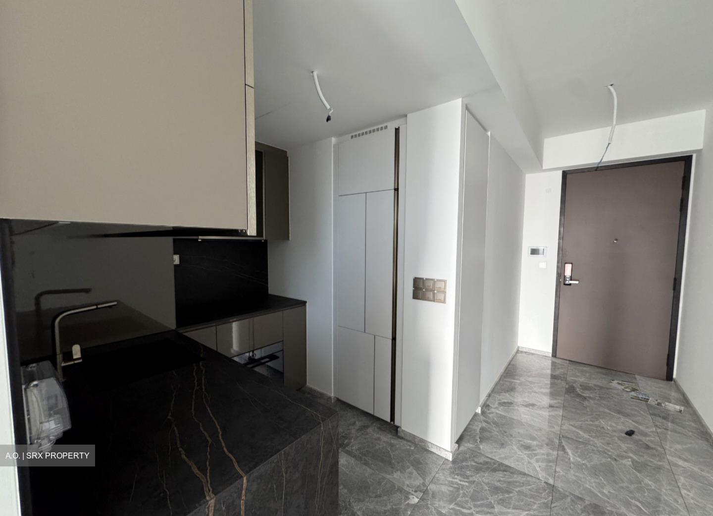 One Bernam (D2), Apartment #499851551